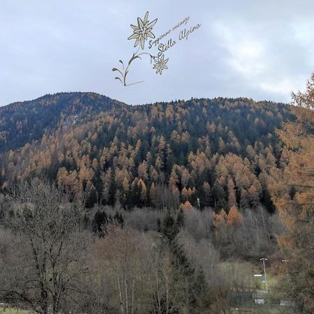 Soggiorno Vacanze Stella Alpina Temù Εξωτερικό φωτογραφία